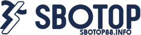 logo SOBTOP Info